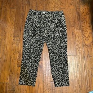 cAbi #3393 Jungle Trouser Leopard Dress Pant Sz 14